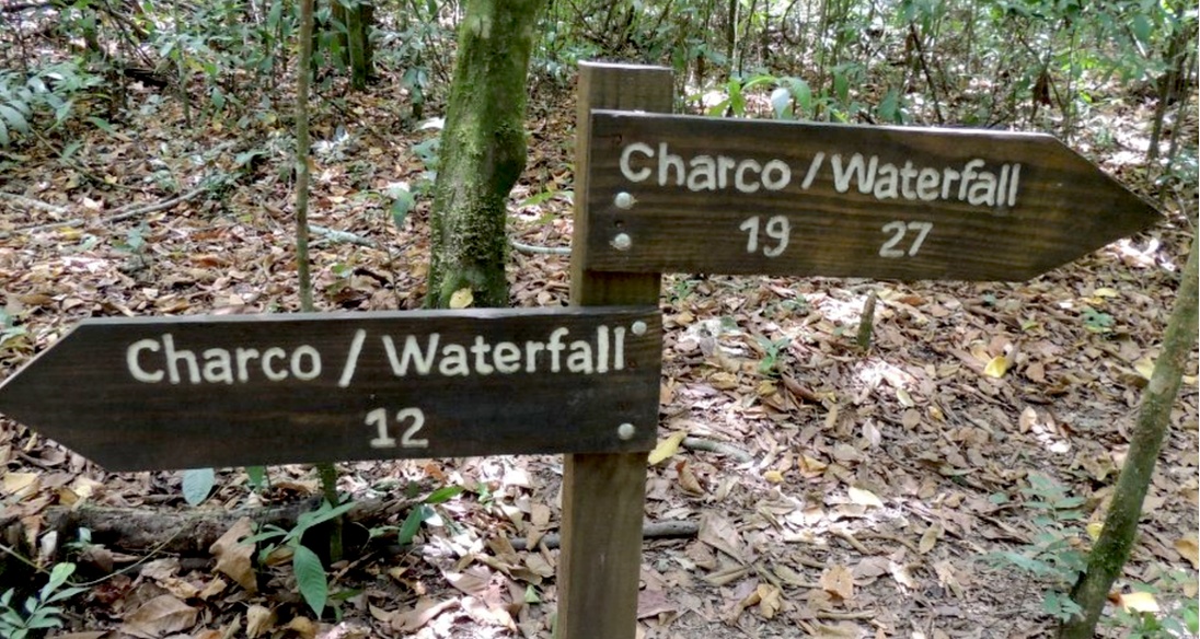 Know Before you go ...  27 Waterfalls of Damajagua Shore Excursion!
