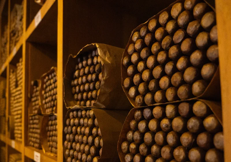 Touring Espigon cigars factory with Iguana Mama